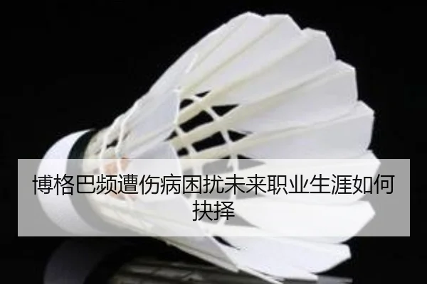 博格巴频遭伤病困扰未来职业生涯如何抉择